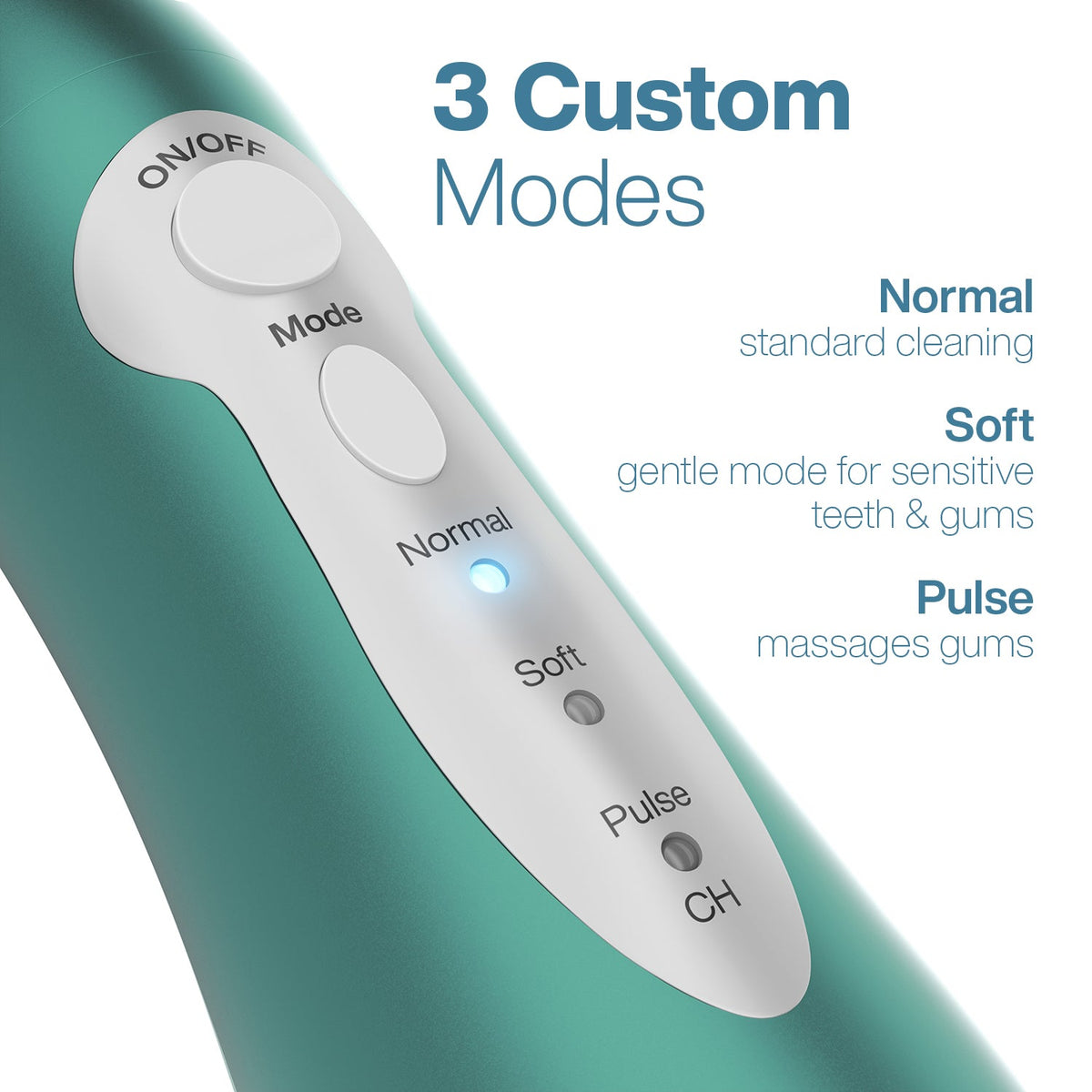 AquaSonic Pro Portable Water Flosser