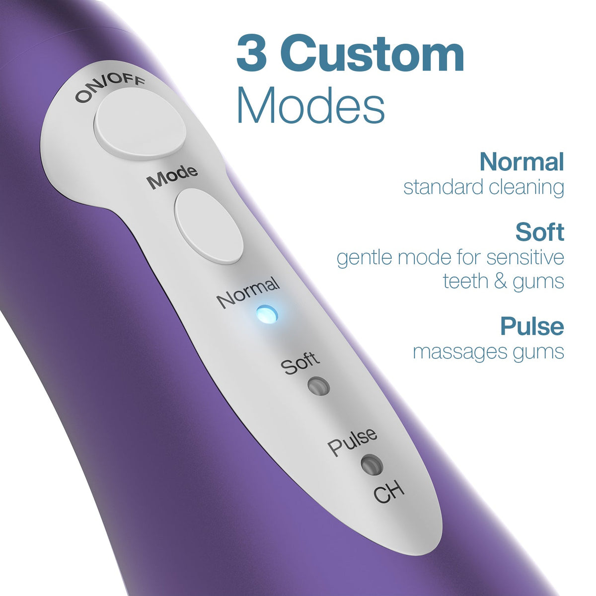 AquaSonic Pro Portable Water Flosser