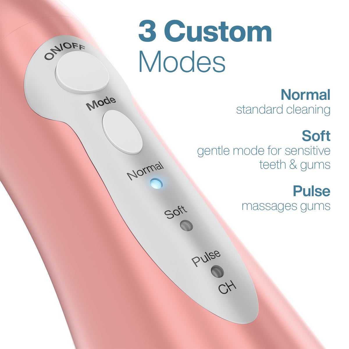 AquaSonic Pro Portable Water Flosser